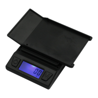 Preview: Fast Weigh Scales TR-100