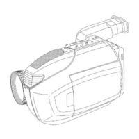 Preview: Palmcorder PalmSight PV-L580
