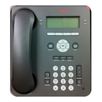 Preview: Avaya 700500205
