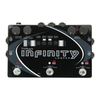Preview: pigtronix Infinity looper