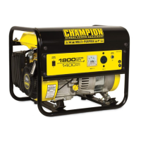 Preview: Champion Power Equipment 42432