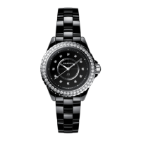 Preview: Chanel J12