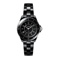 Preview: Chanel J12
