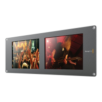 Preview: Blackmagicdesign SmartView Duo
