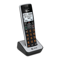 Preview: AT&T CL80113