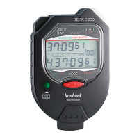 Preview: Hanhart DELTA E 100