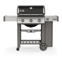 Preview: Weber Genesis II CE-310