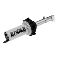 Preview: Eagle 2000