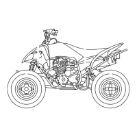 Preview: Yamaha YFM250