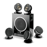 Preview: Focal PACK 5.1 SATELLITES