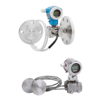 Preview: Endress+Hauser Deltabar S FMD77