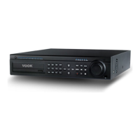 Preview: Vook DVR