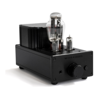 Preview: Woo Audio WA6