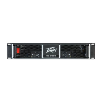 Preview: Peavey CS 3000