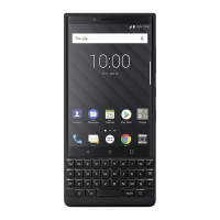 Preview: Blackberry BBF100-2