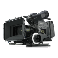 Preview: Sony F65