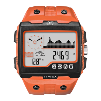 Preview: Timex Expedition WS4