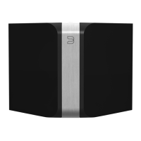 Preview: Bluesound Powernode