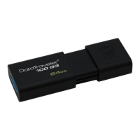 Preview: Kingston Technology DT100G3