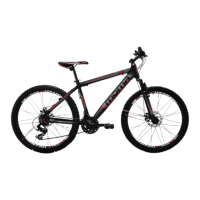 Preview: Moma Bike
