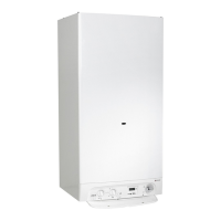 Preview: Biasi Riva Plus Combi