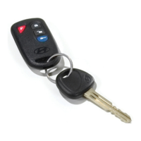 Preview: Hyundai REMOTE START