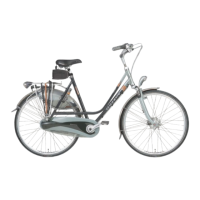 Preview: Gazelle bike