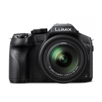 Preview: Panasonic LUMIX DMC-FZ300SG