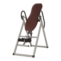 Preview: Exerpeutic Inversion Table
