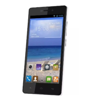 Preview: Gionee M2