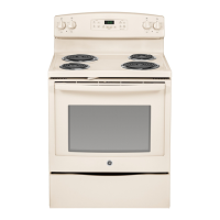 Preview: GE JB250