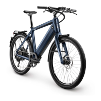 Preview: Stromer ST1
