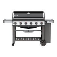 Preview: Weber E-210 GBS