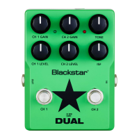 Preview: Blackstar LT-DUAL