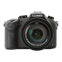 Preview: Panasonic Lumix DMC-FZ1000