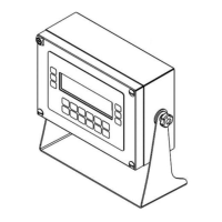 Preview: Bilanciai DD700ic