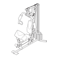 Preview: Weider WESY19318.0
