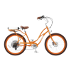 Scooter Logo
