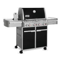 Preview: Weber 7171001
