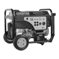 Preview: Champion 41430