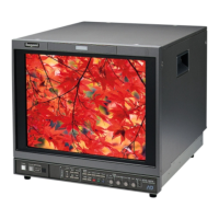 Preview: Ikegami HTM-1990R M