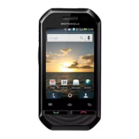 Preview: Motorola P56MS1
