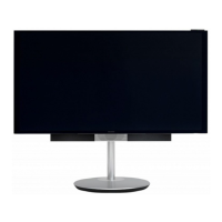 Preview: BEOVISION AVANT