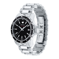 Preview: Movado Series 800