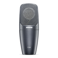 Preview: Shure PG42