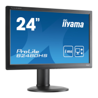 Preview: Iiyama ProLite B2480HS-2