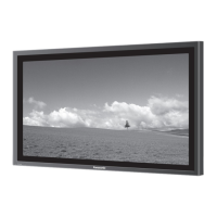 Preview: Panasonic TH-42PS9ES
