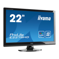 Preview: Iiyama ProLite E2278HD-GB1