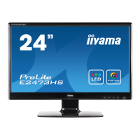 Preview: Iiyama ProLite E2473HS