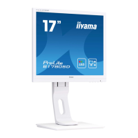Preview: Iiyama ProLite B1780SD-W1